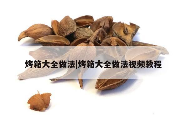 烤箱大全做法|烤箱大全做法视频教程