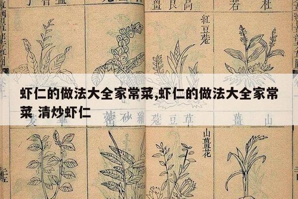 虾仁的做法大全家常菜,虾仁的做法大全家常菜 清炒虾仁