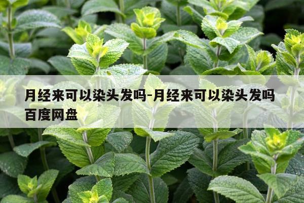 月经来可以染头发吗-月经来可以染头发吗 百度网盘