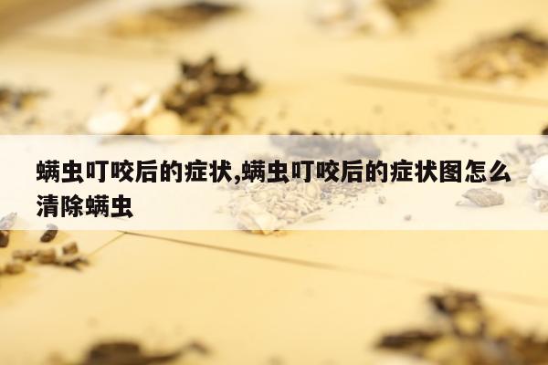 螨虫叮咬后的症状,螨虫叮咬后的症状图怎么清除螨虫