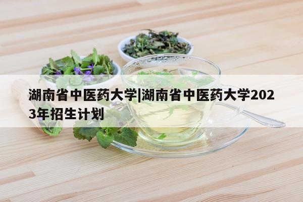 湖南省中医药大学|湖南省中医药大学2023年招生计划