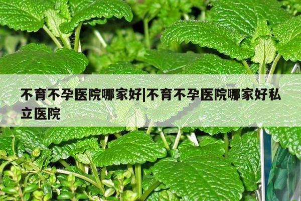 不育不孕医院哪家好|不育不孕医院哪家好私立医院