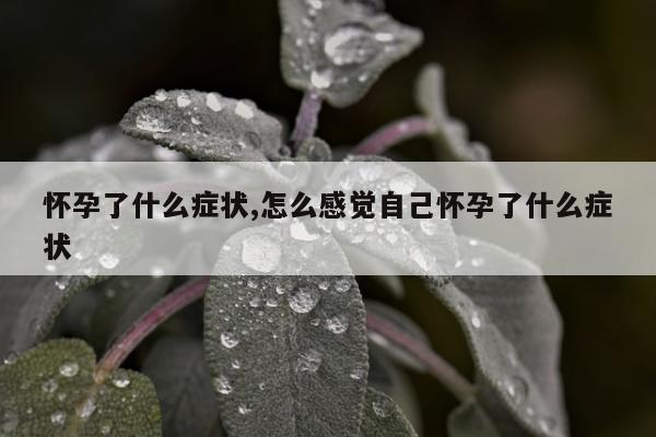 怀孕了什么症状,怎么感觉自己怀孕了什么症状