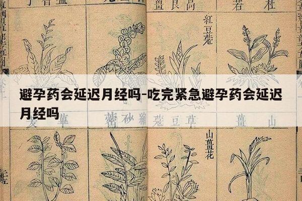 避孕药会延迟月经吗-吃完紧急避孕药会延迟月经吗