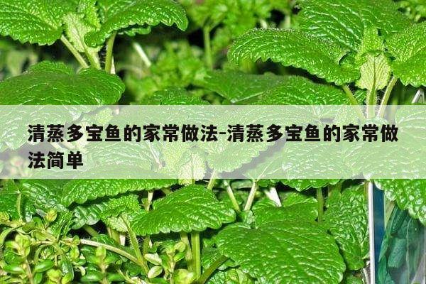 清蒸多宝鱼的家常做法-清蒸多宝鱼的家常做法简单