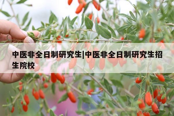 中医非全日制研究生|中医非全日制研究生招生院校