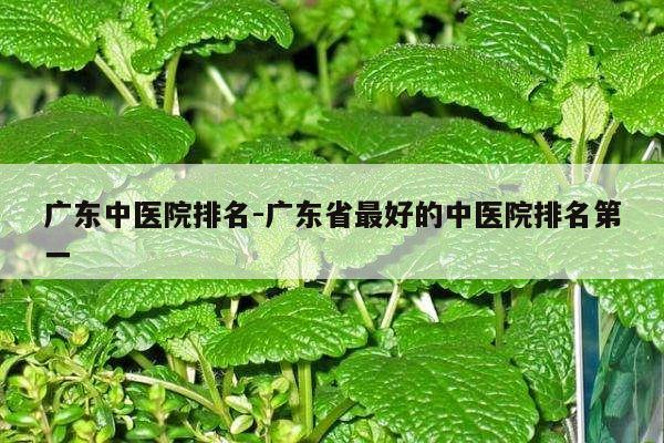 广东中医院排名-广东省最好的中医院排名第一