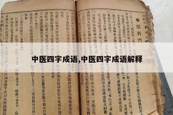 中医四字成语,中医四字成语解释