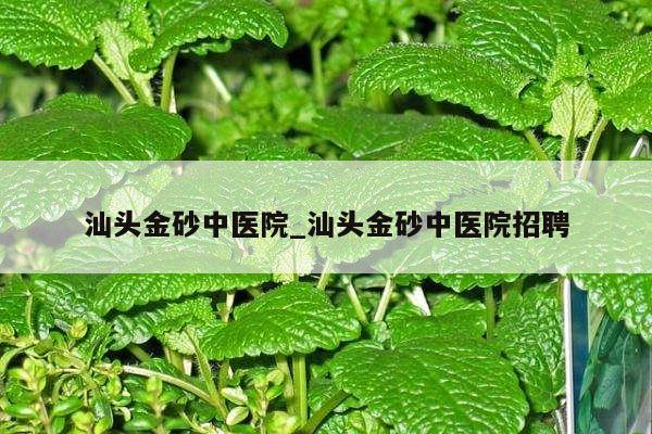 汕头金砂中医院_汕头金砂中医院招聘