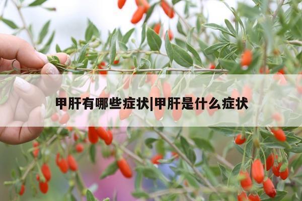 甲肝有哪些症状|甲肝是什么症状