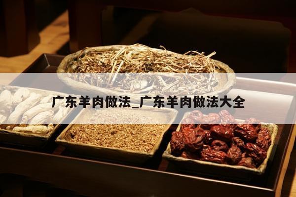 广东羊肉做法_广东羊肉做法大全