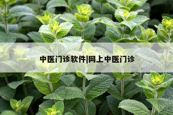 中医门诊软件|网上中医门诊