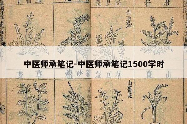 中医师承笔记-中医师承笔记1500学时