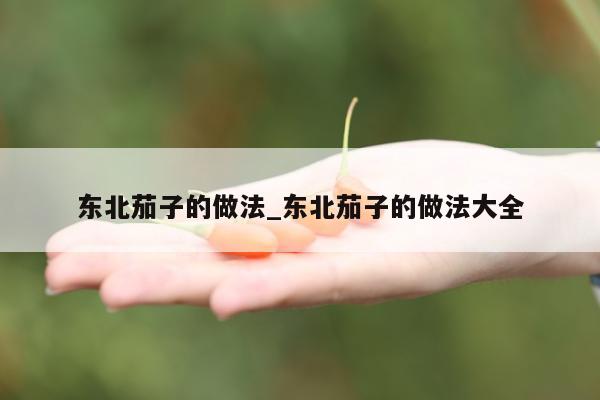 东北茄子的做法_东北茄子的做法大全