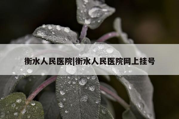 衡水人民医院|衡水人民医院网上挂号