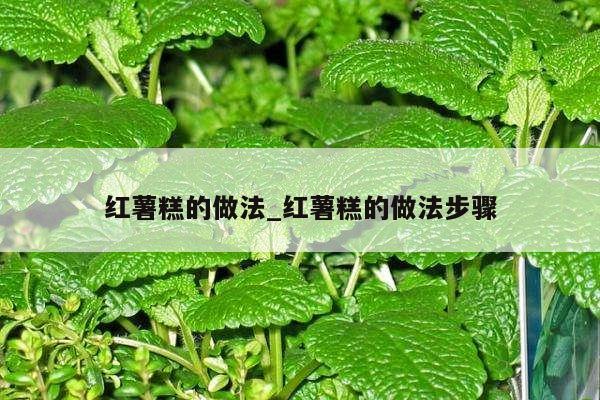 红薯糕的做法_红薯糕的做法步骤