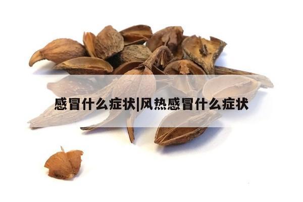 感冒什么症状|风热感冒什么症状