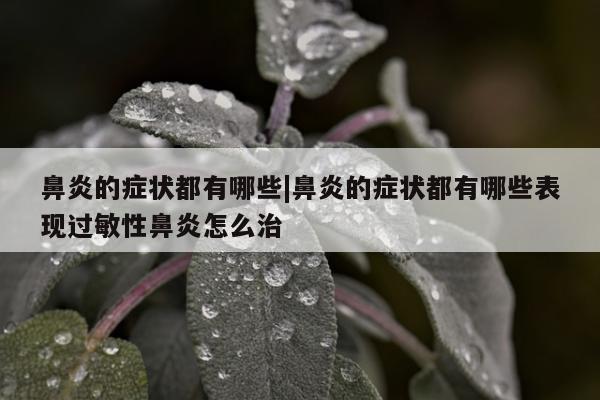 鼻炎的症状都有哪些|鼻炎的症状都有哪些表现过敏性鼻炎怎么治