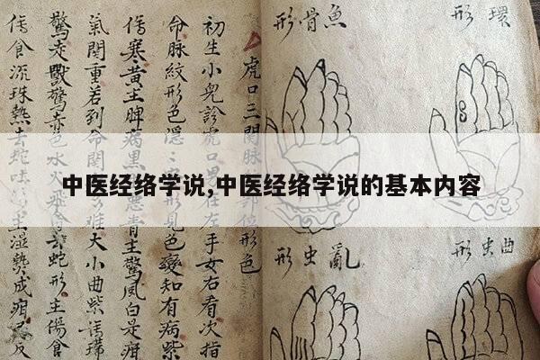 中医经络学说,中医经络学说的基本内容