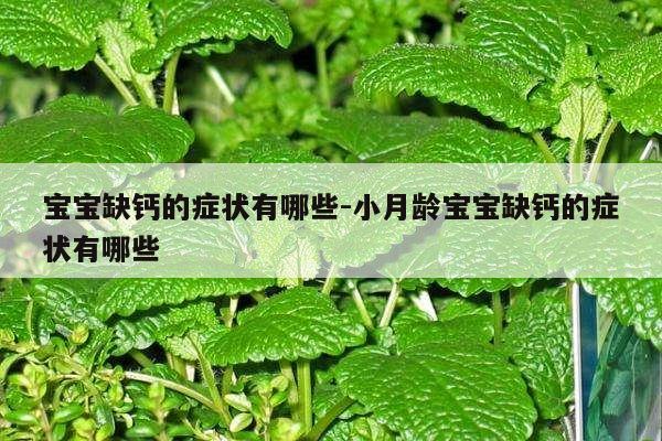 宝宝缺钙的症状有哪些-小月龄宝宝缺钙的症状有哪些